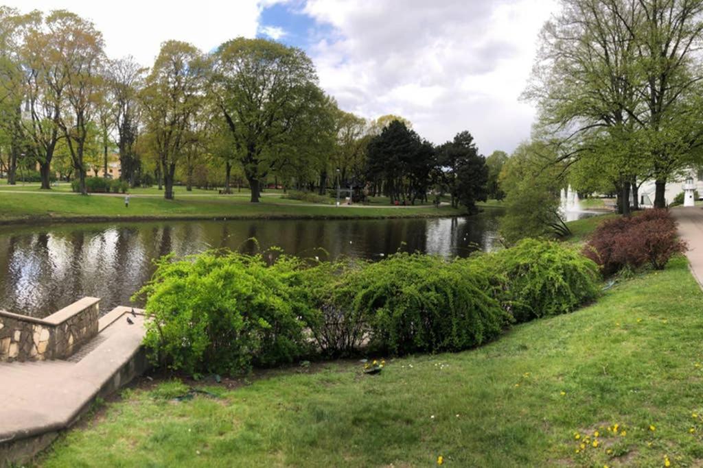 New Comfortable Apartment Nearby Promenade In 5 Minutes From Old Town Of Riga. Eksteriør billede